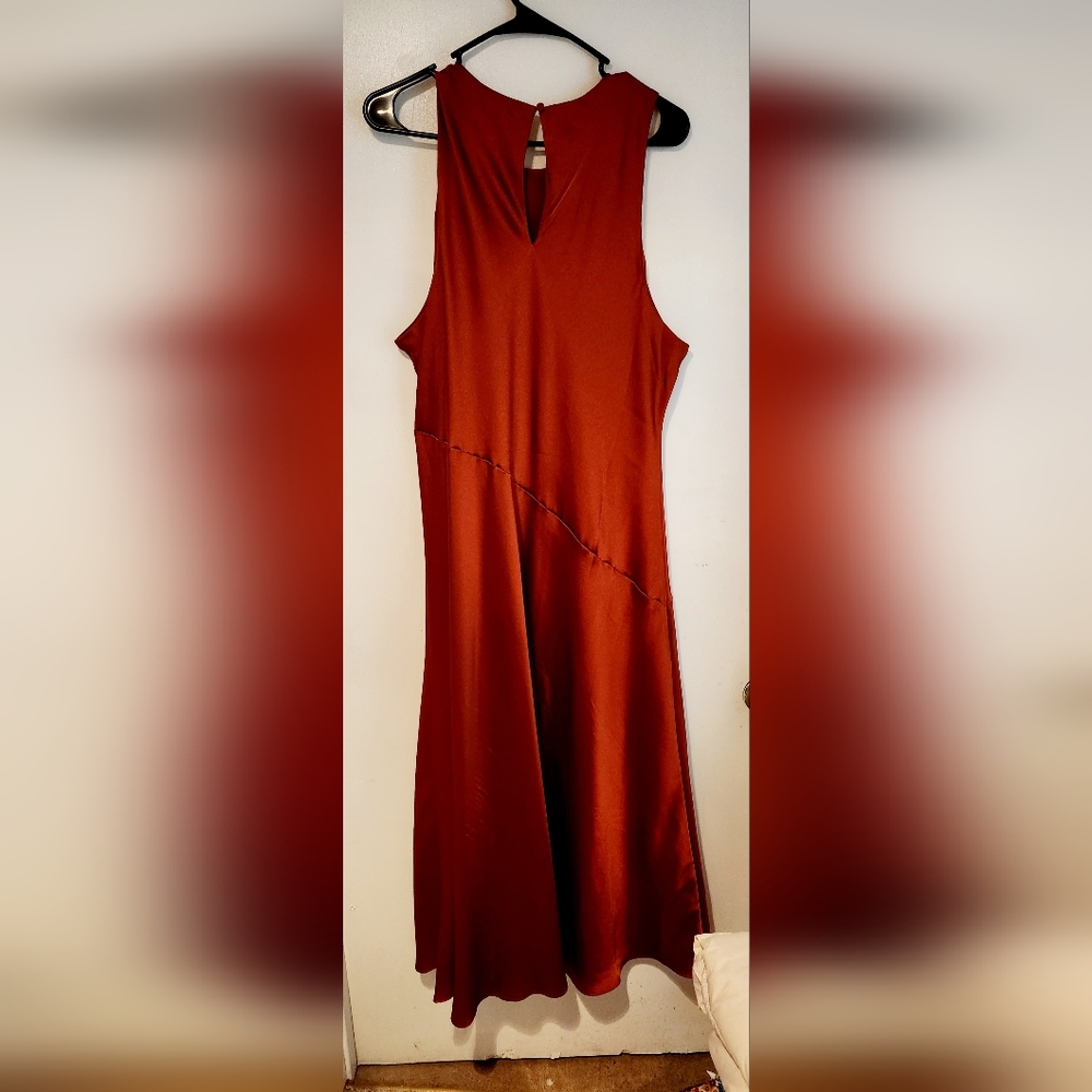 Express Dress - Picture 4 of 4